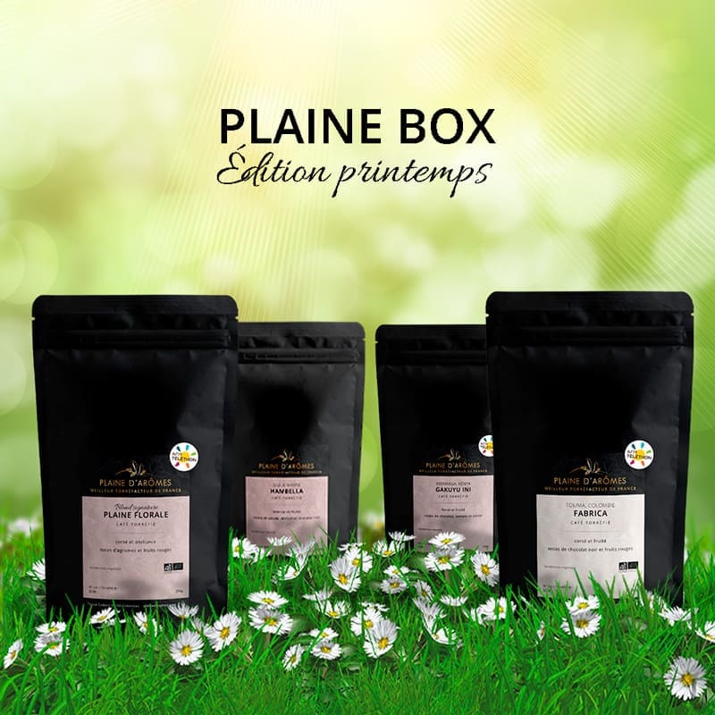 Plaine Box composée de ses 4 paquets de cafés Plaine d'Arômes
