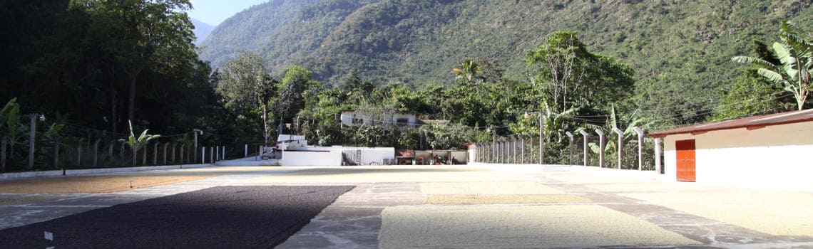 adiesto-quetzalito-guatemala.jpg