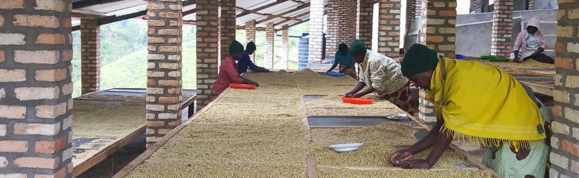 bernard-uwitije-bwenda-rwanda.jpg