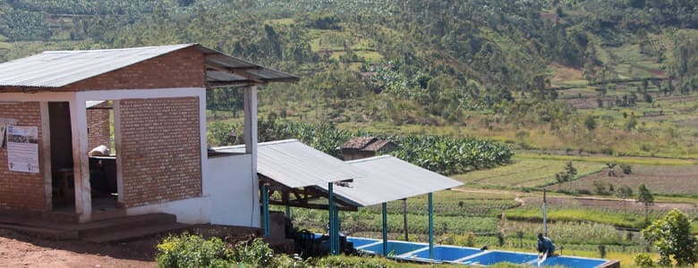 burundi-shembati.jpg