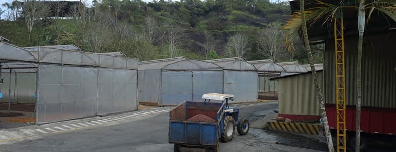 costa-rica-coopro-naranjo.jpg