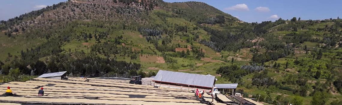 gitega-ferme-miko-rwanda.jpg