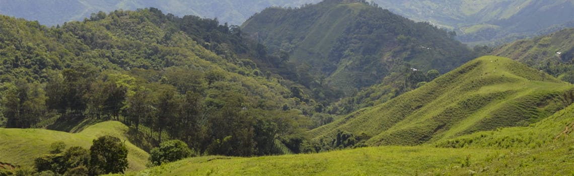 granja-esperanza-fabrica-colombie.jpg