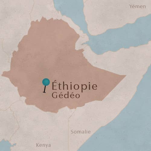 Zone de Gedeo en Éthiopie