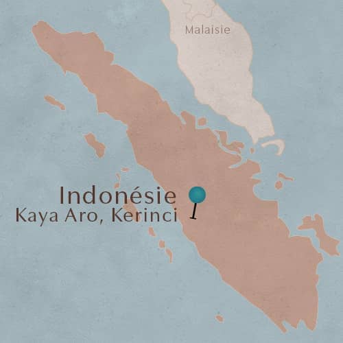 Région de Kayo Aro en Indonésie