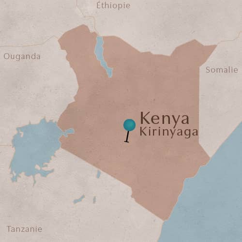 DÃ©partement de Kirinyaga au Kenya