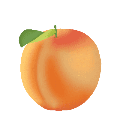 Illustration d'un abricot - Plaine d'ArÃ´mes