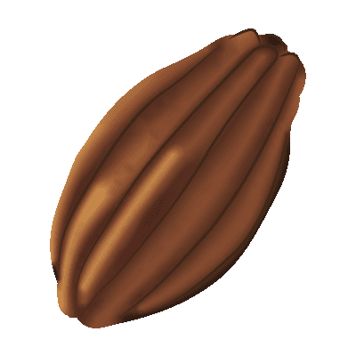illustration de cacao
