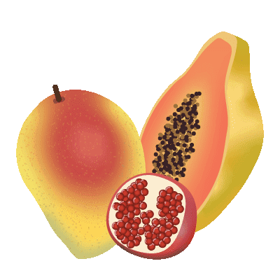 illustration fruits tropicaux: mangue, papaye et grenade