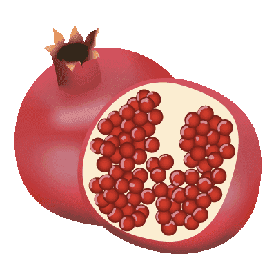 illustration du fruit la grenade