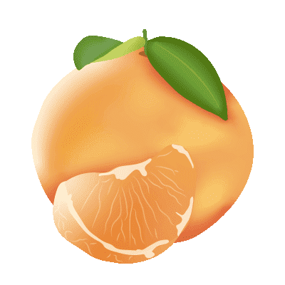 Illustration d'une mandarine - Plaine d'ArÃ´mes