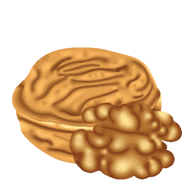 Illustration d'une noix
