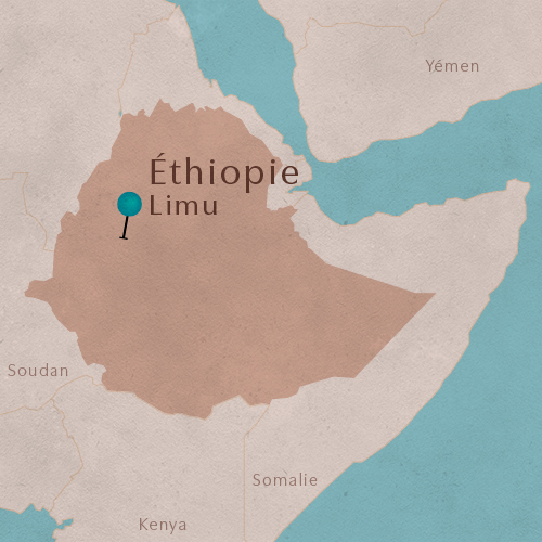 Limu, rÃ©gion d'Oromia - Plaine d'ArÃ´mes