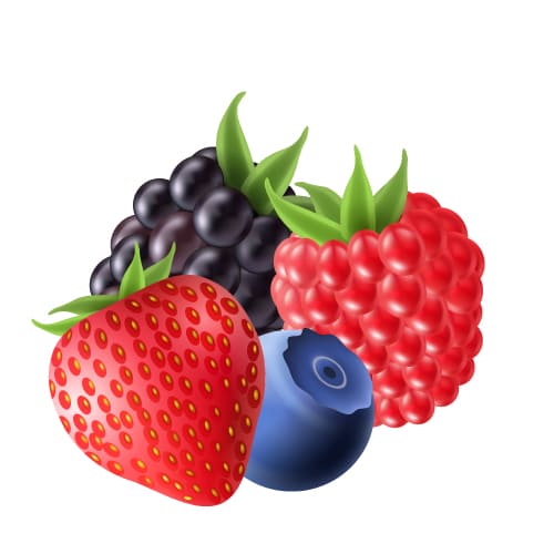 Illustration de fruits rouges - Plaine d'ArÃ´mes