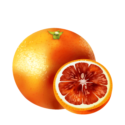 Illustration d'une orange sanguine