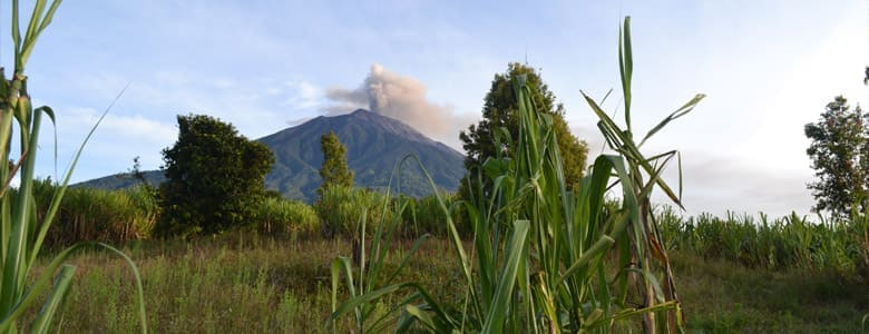 indonesie-alko-kerinci.jpg