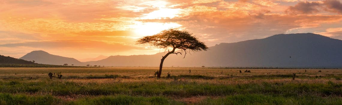 plaine-africa-paysage-afrique.jpg