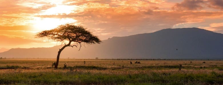 plaine-africa.jpg