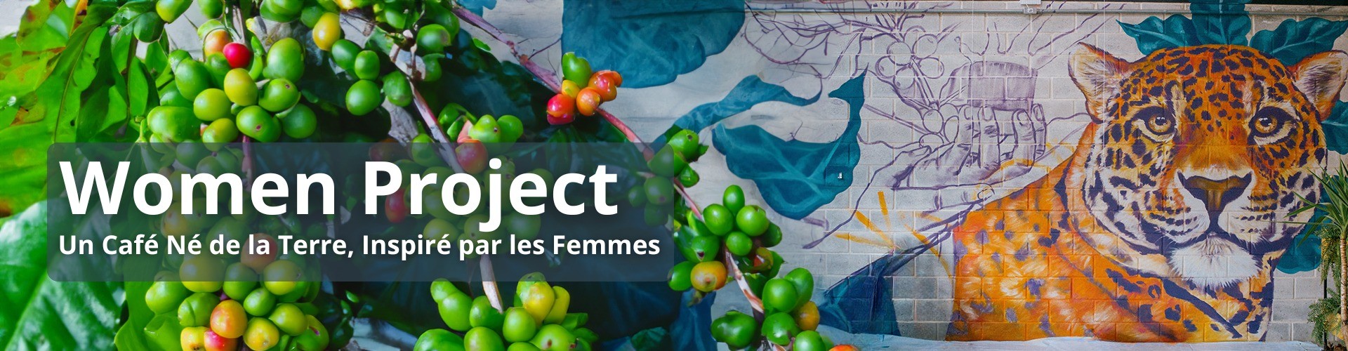 Café women Project